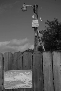 Everglades-Florida-pic-by-Ralph-Oechel (1)
