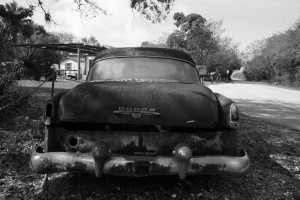 Everglades-Florida-pic-by-Ralph-Oechel (3)
