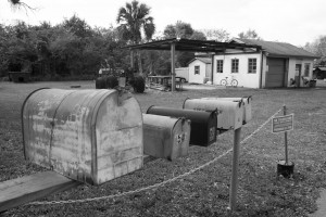 Everglades-Florida-pic-by-Ralph-Oechel (4)