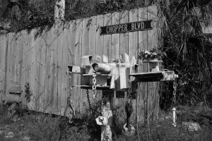 Everglades-Florida-pic-by-Ralph-Oechel (7)
