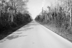 Everglades-Florida-pic-by-Ralph-Oechel (9)